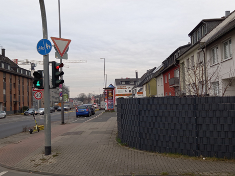 Koeln Poll